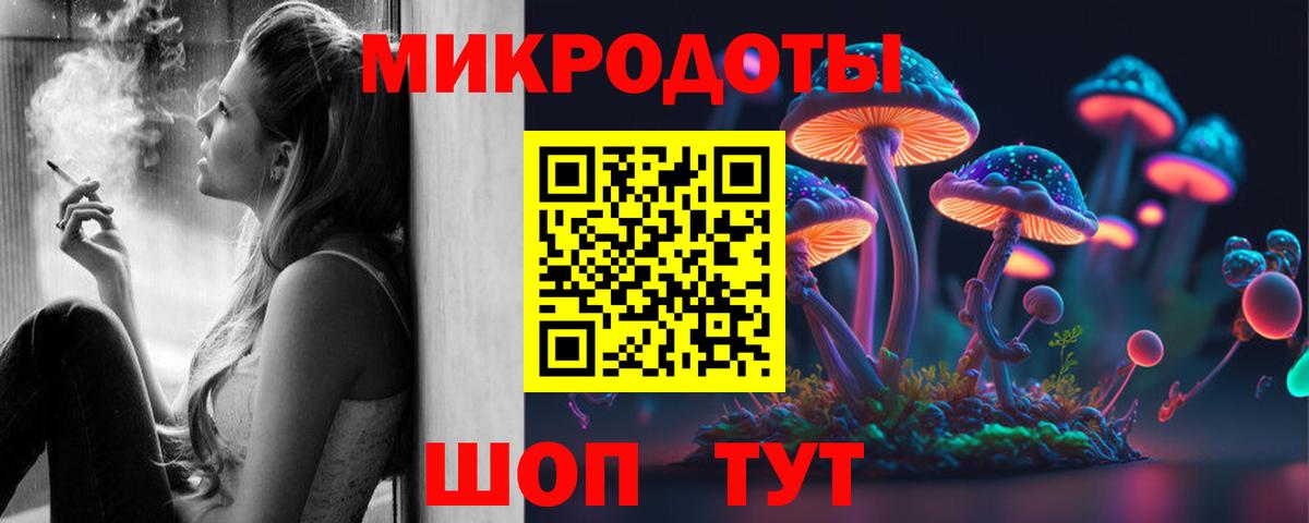 Советская Гавань  Псилоцибиновые грибы GOLDEN TEACHER  Вход с VPN  Галлюциногенные грибы Psilocybine cubensis 
